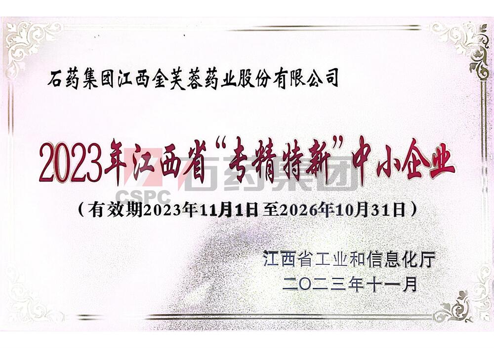 江西省“专精特新”中心小企业